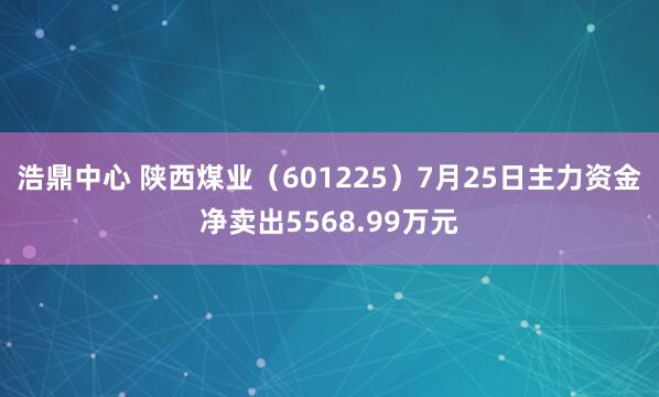浩鼎中心 陕西煤业（601225）7月25日主力资金净卖出5568.99万元