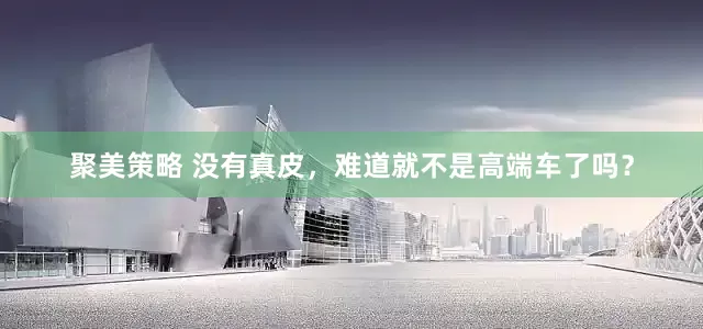 聚美策略 没有真皮，难道就不是高端车了吗？