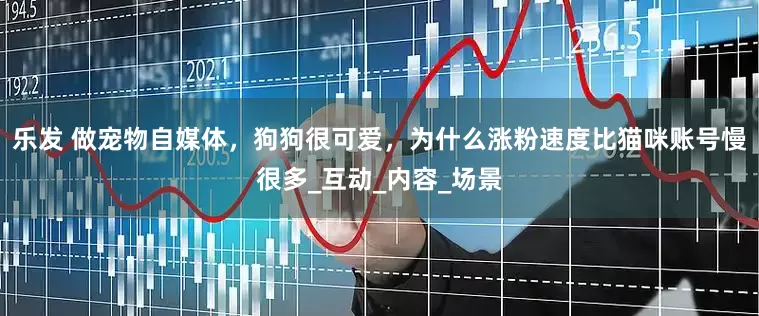 乐发 做宠物自媒体，狗狗很可爱，为什么涨粉速度比猫咪账号慢很多_互动_内容_场景