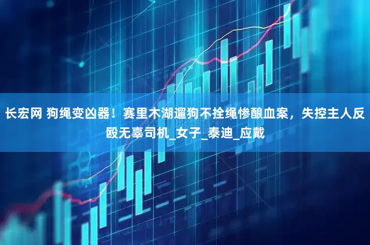长宏网 狗绳变凶器！赛里木湖遛狗不拴绳惨酿血案，失控主人反殴无辜司机_女子_泰迪_应戴