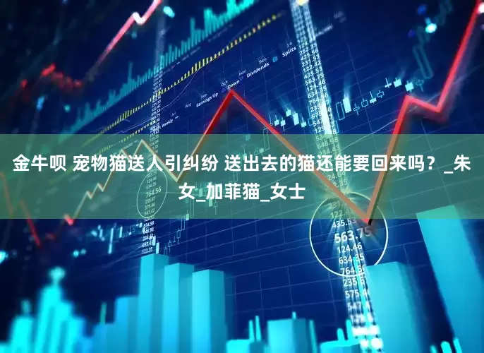 金牛呗 宠物猫送人引纠纷 送出去的猫还能要回来吗？_朱女_加菲猫_女士